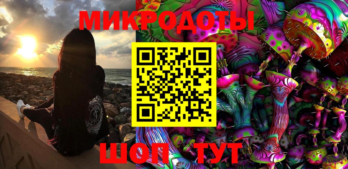 Галлюциногенные грибы Psilocybe Волгоград