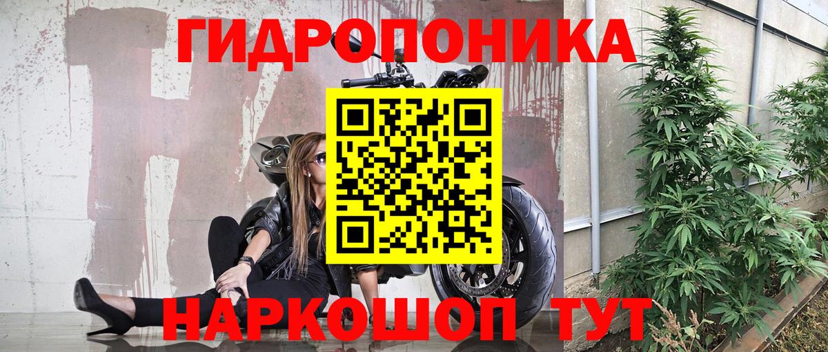 МАРИХУАНА семена Волгоград